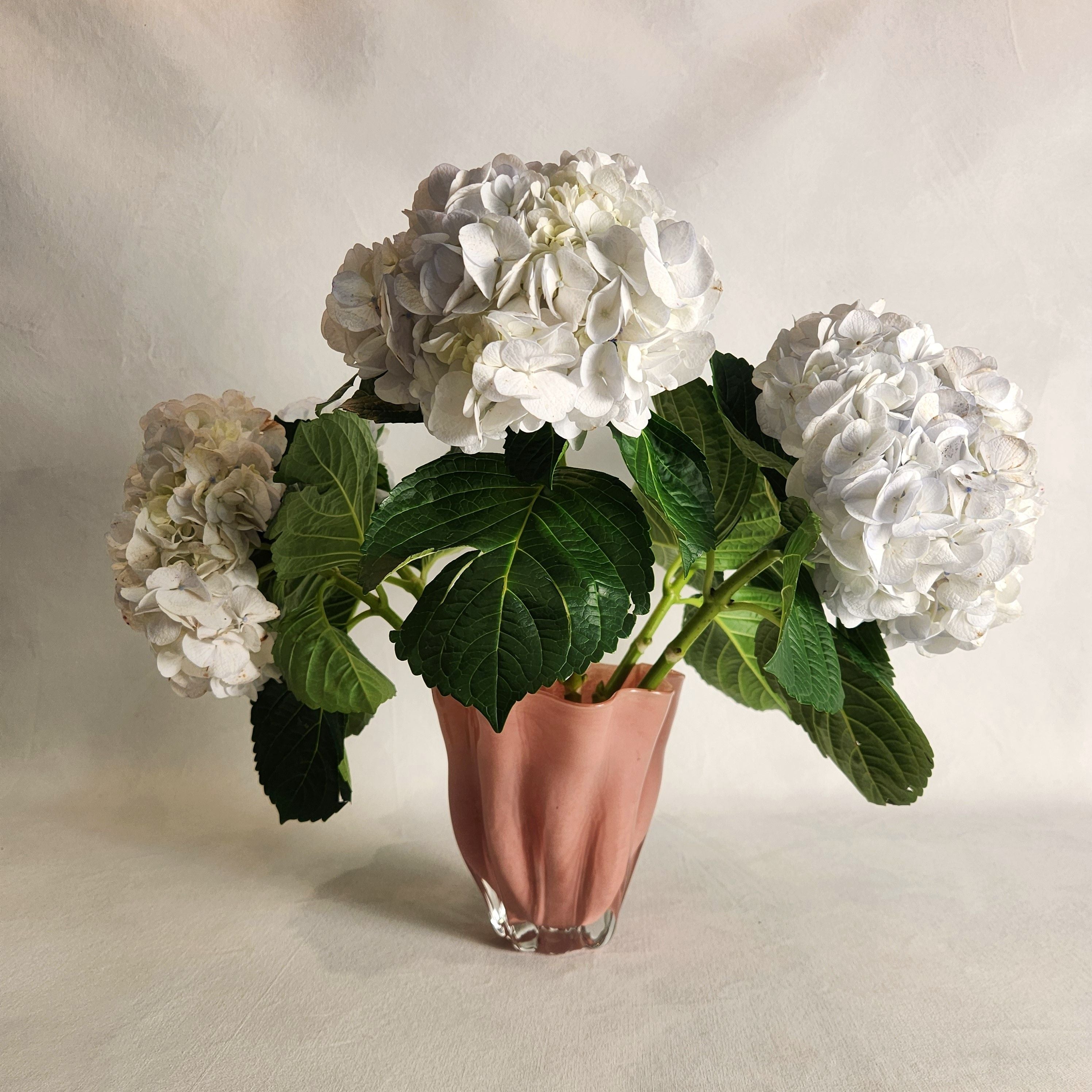 Charlotte Vase - Medium Rose