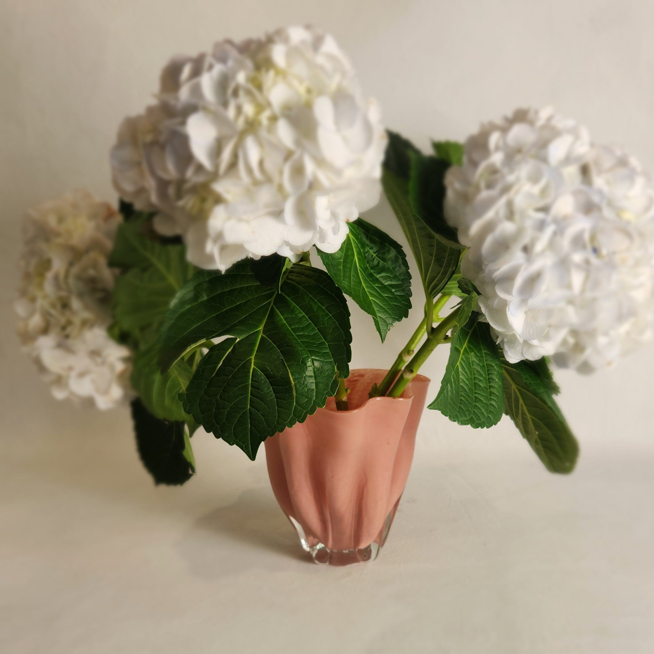 Charlotte Vase - Medium Rose