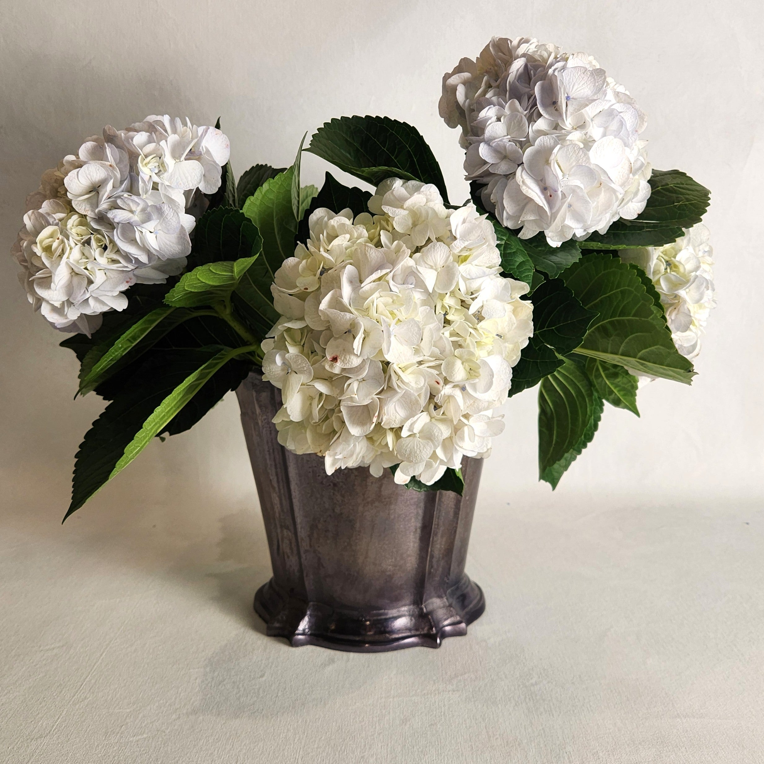 Elara Champagne Bucket