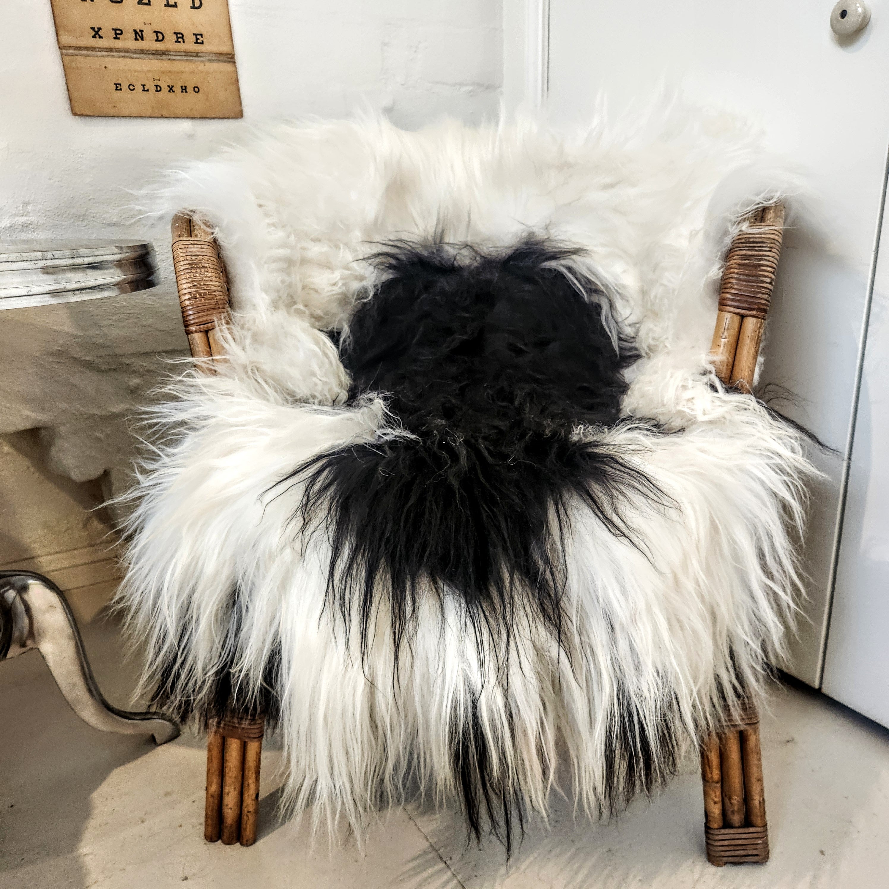 Icelandic Sheepskin - Black/White