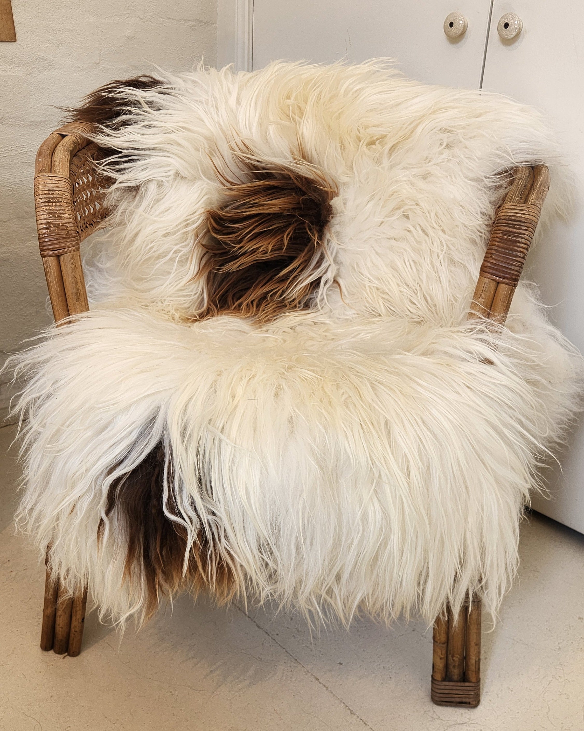 Icelandic Sheepskin - White & Caramel