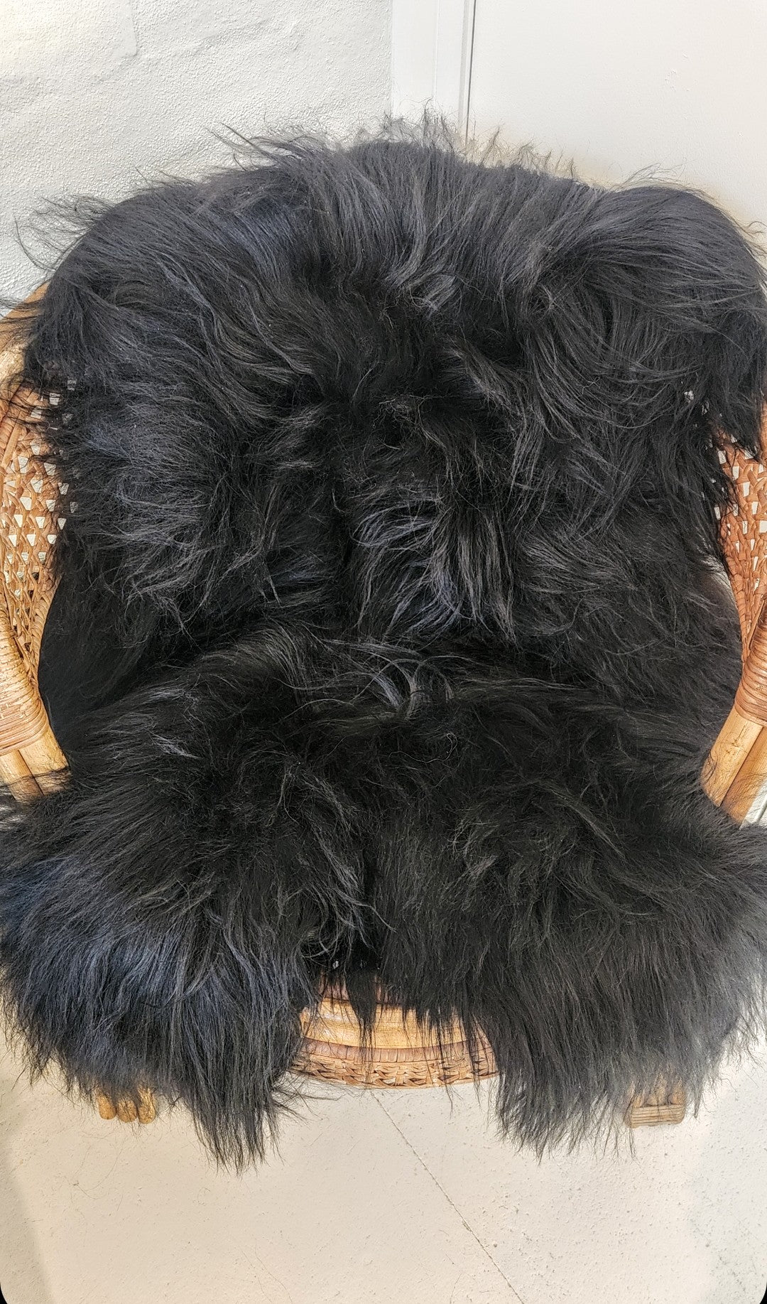 Icelandic Sheepskin -  Espresso / Nero