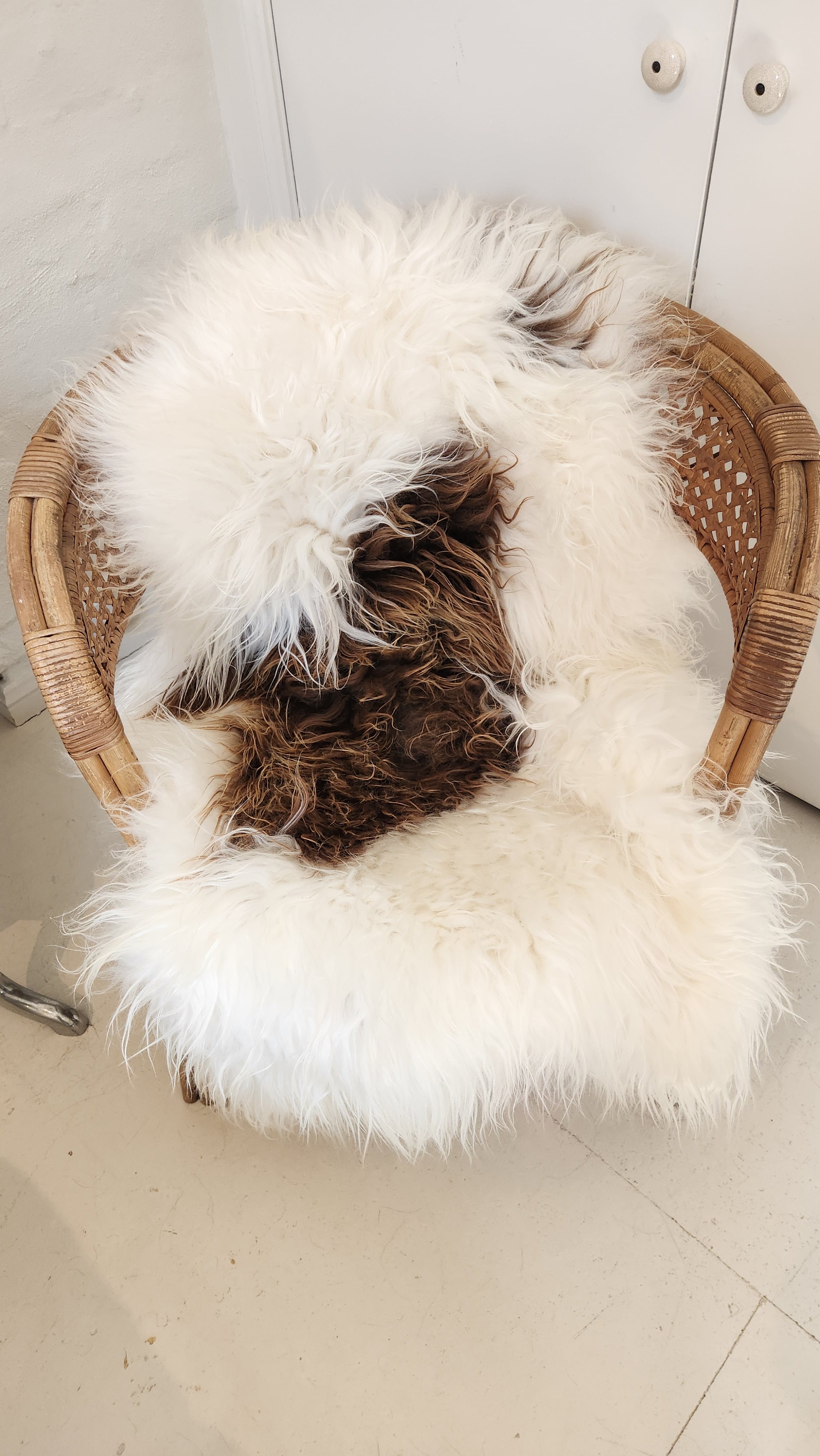 Icelandic Sheepskin - White & Caramel