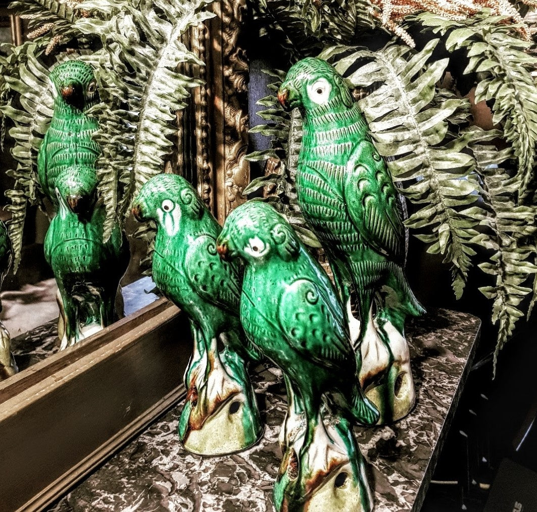 Tang Dynasty Parrots