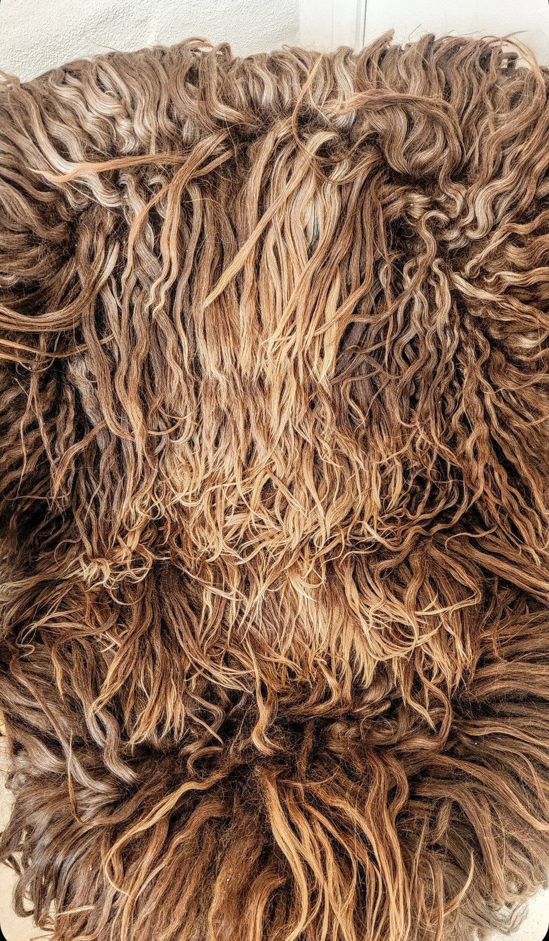 Greenlandic Sheepskin - Caramel