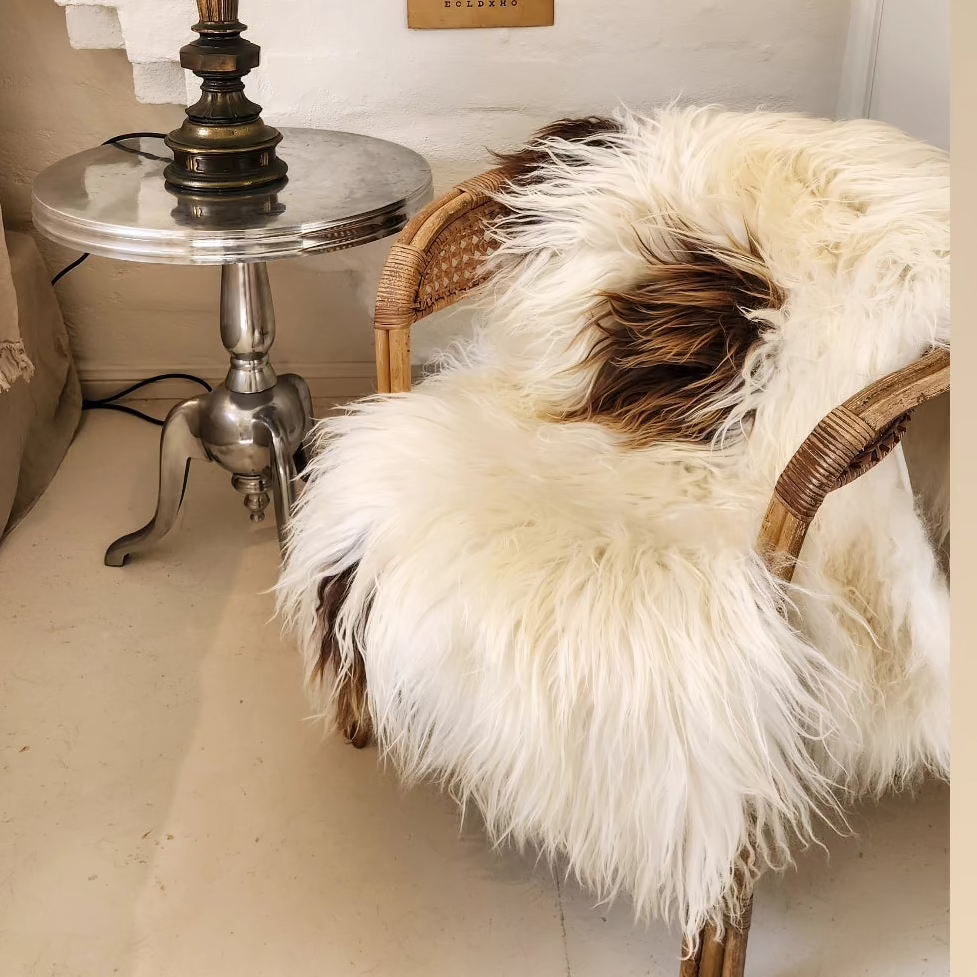 Icelandic Sheepskin - White & Caramel