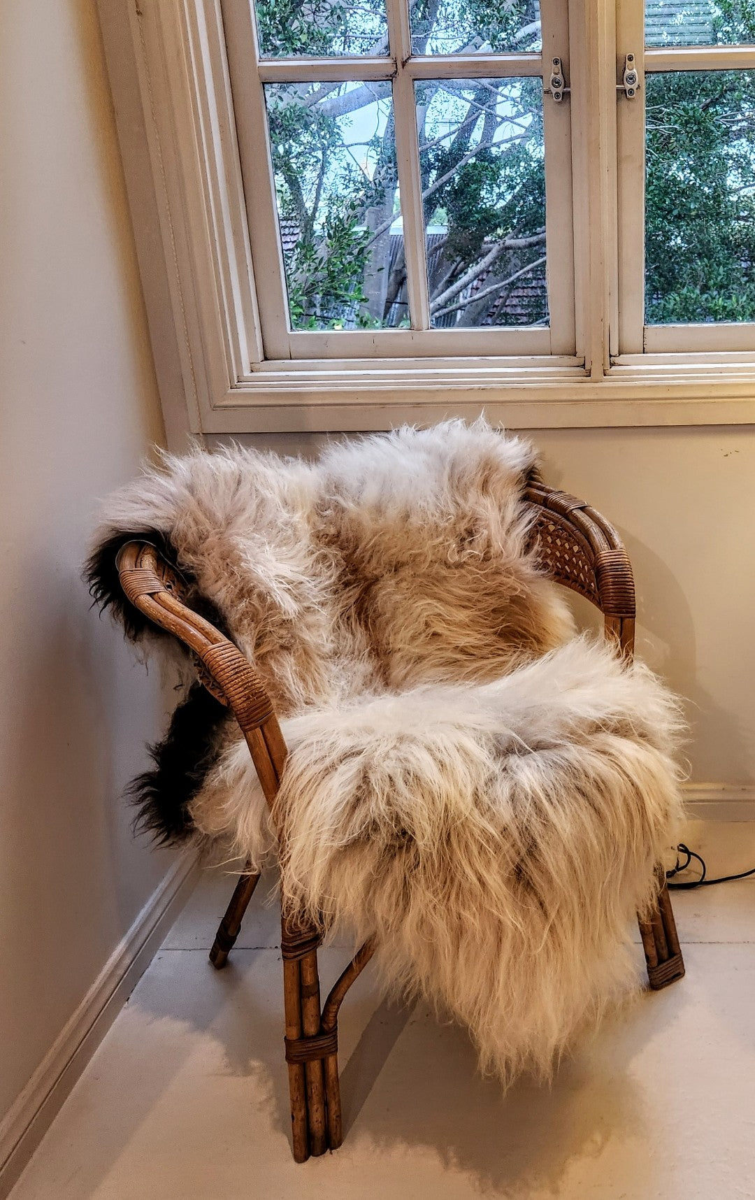 Icelandic Sheepskin -  Dark Edges (long hair)