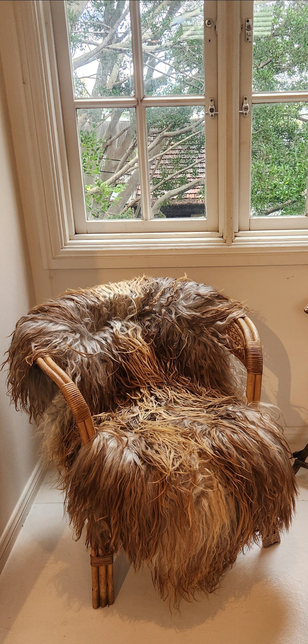 Greenlandic Sheepskin - Caramel, Grey, Brown