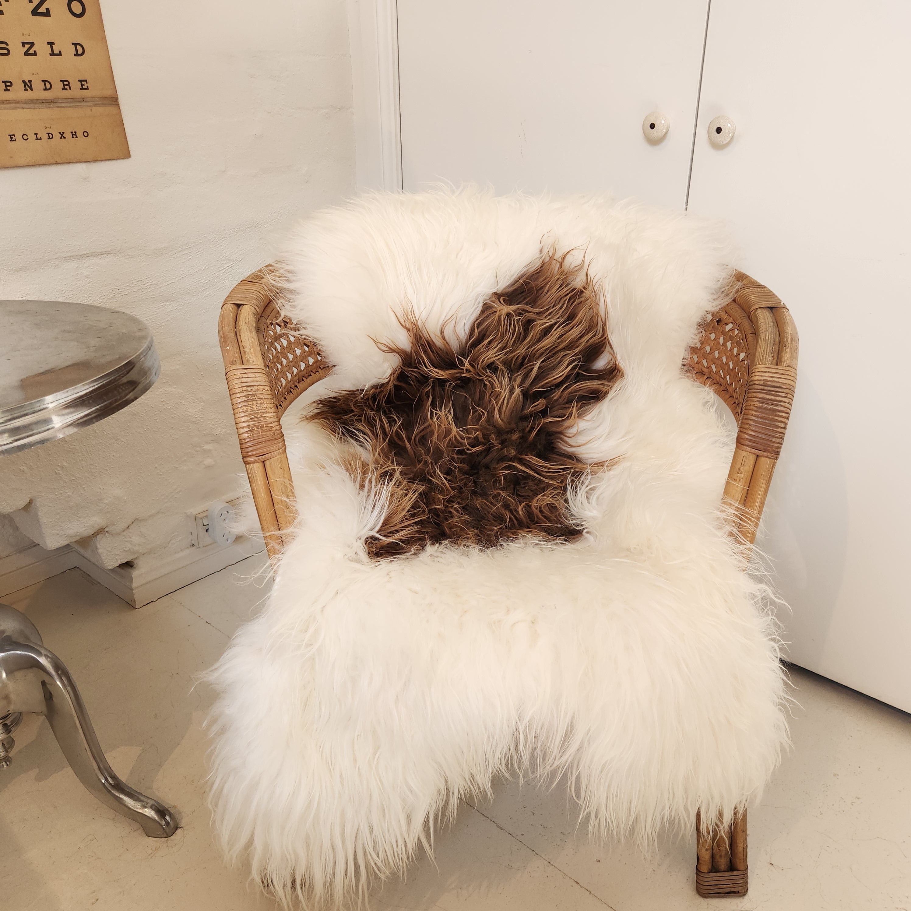 Icelandic Sheepskin - White & Caramel