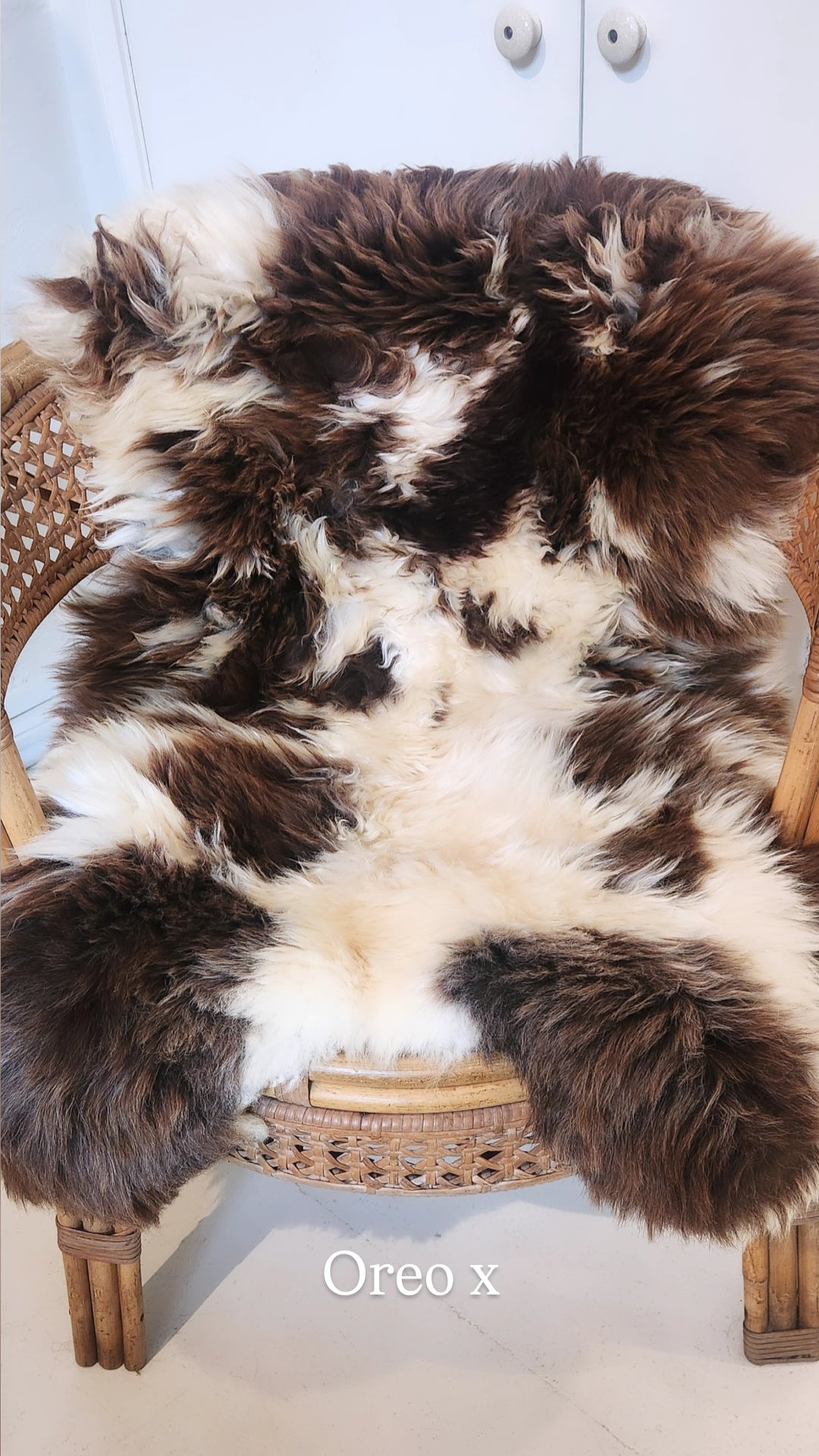 British Sheepskin - "Oreo"