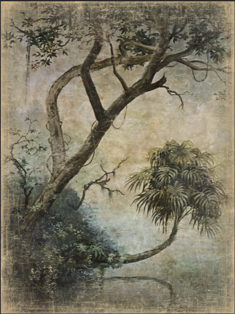 Cienaga Canvas Print