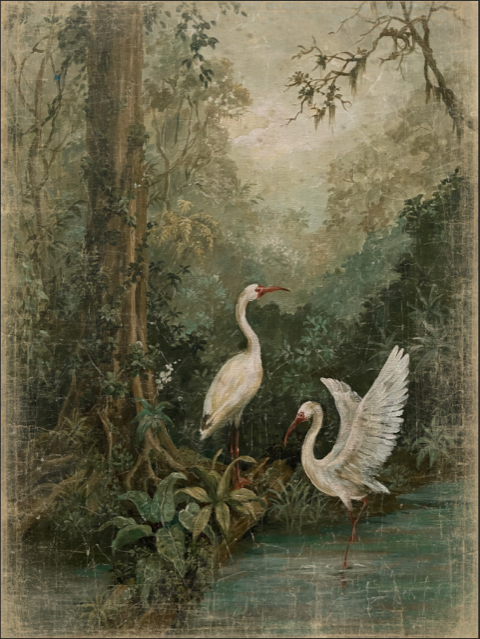 Garzas Blancas Canvas Print