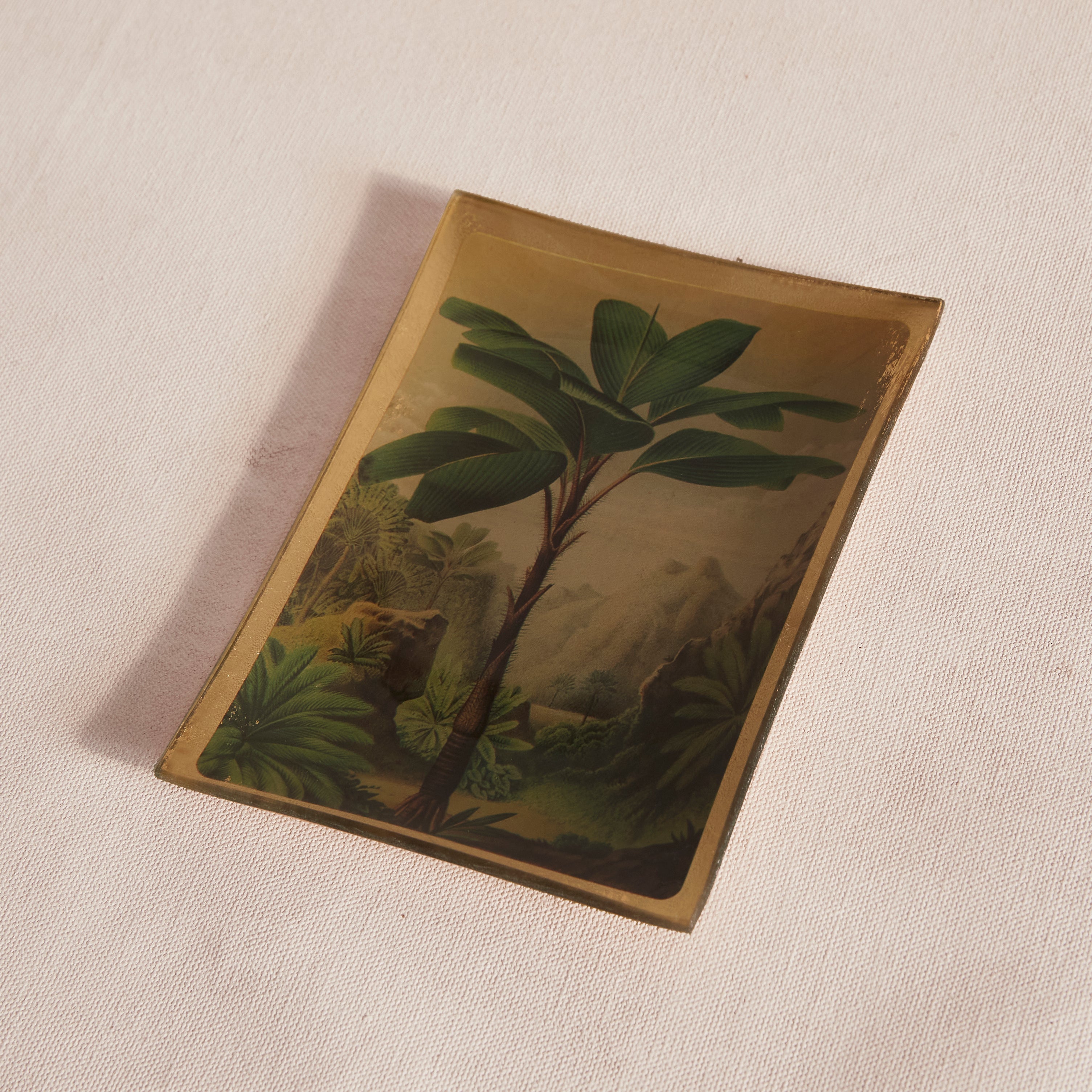 Palm Tray