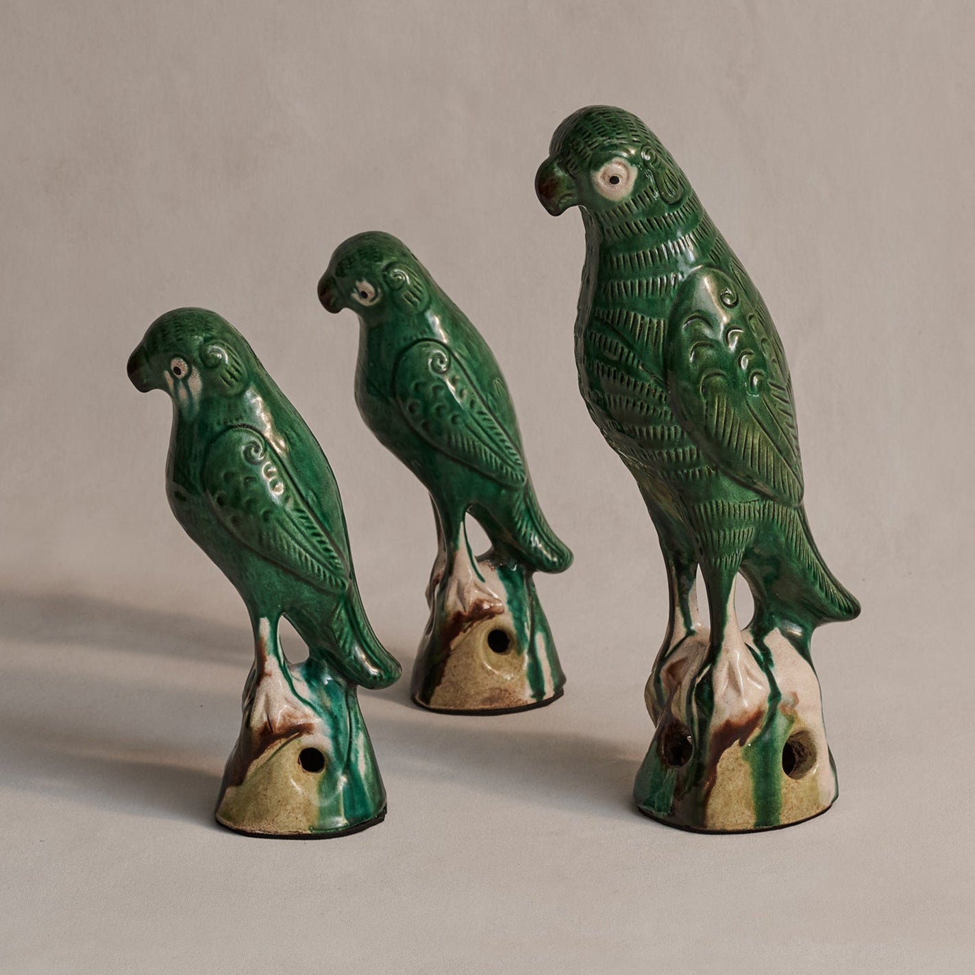 Tang Dynasty Parrots