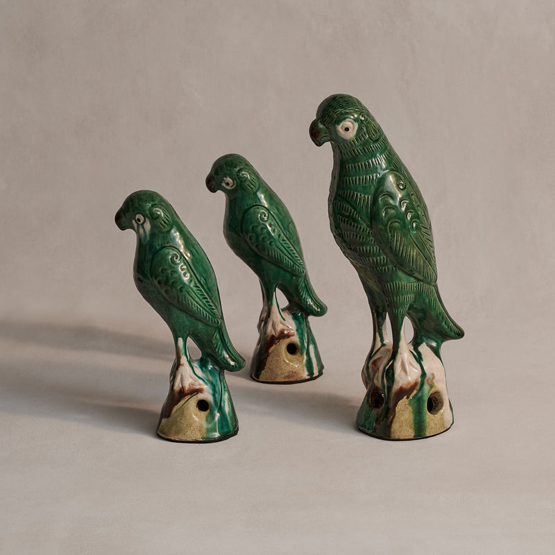 Tang Dynasty Parrots