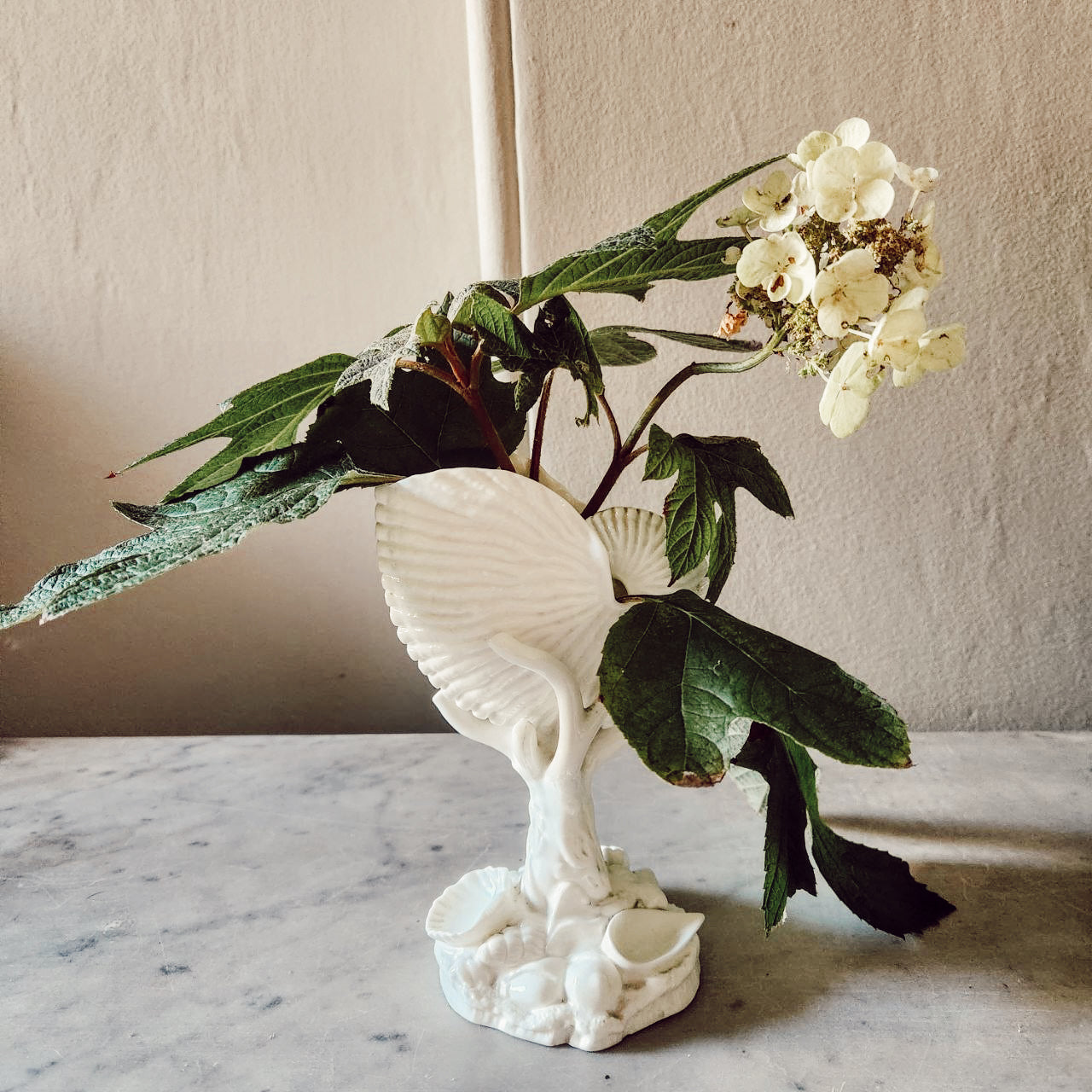 Vintage Royal Worcester Nautilus Vase