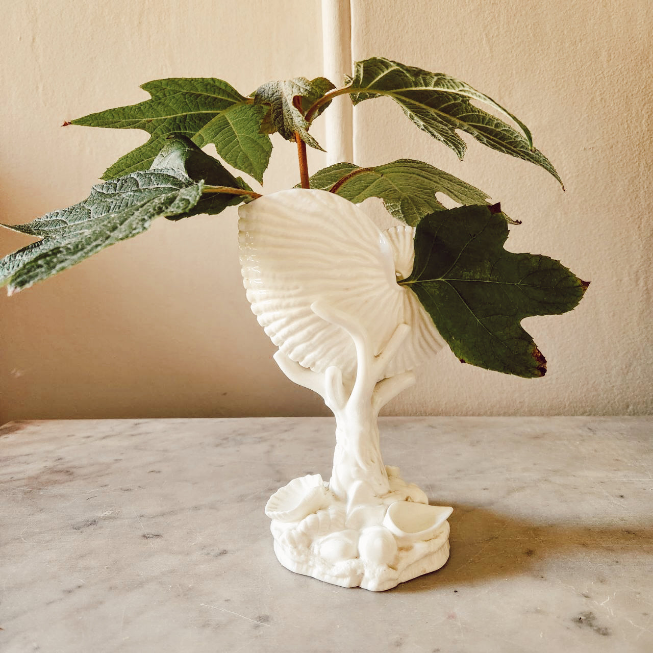 Vintage Royal Worcester Nautilus Vase