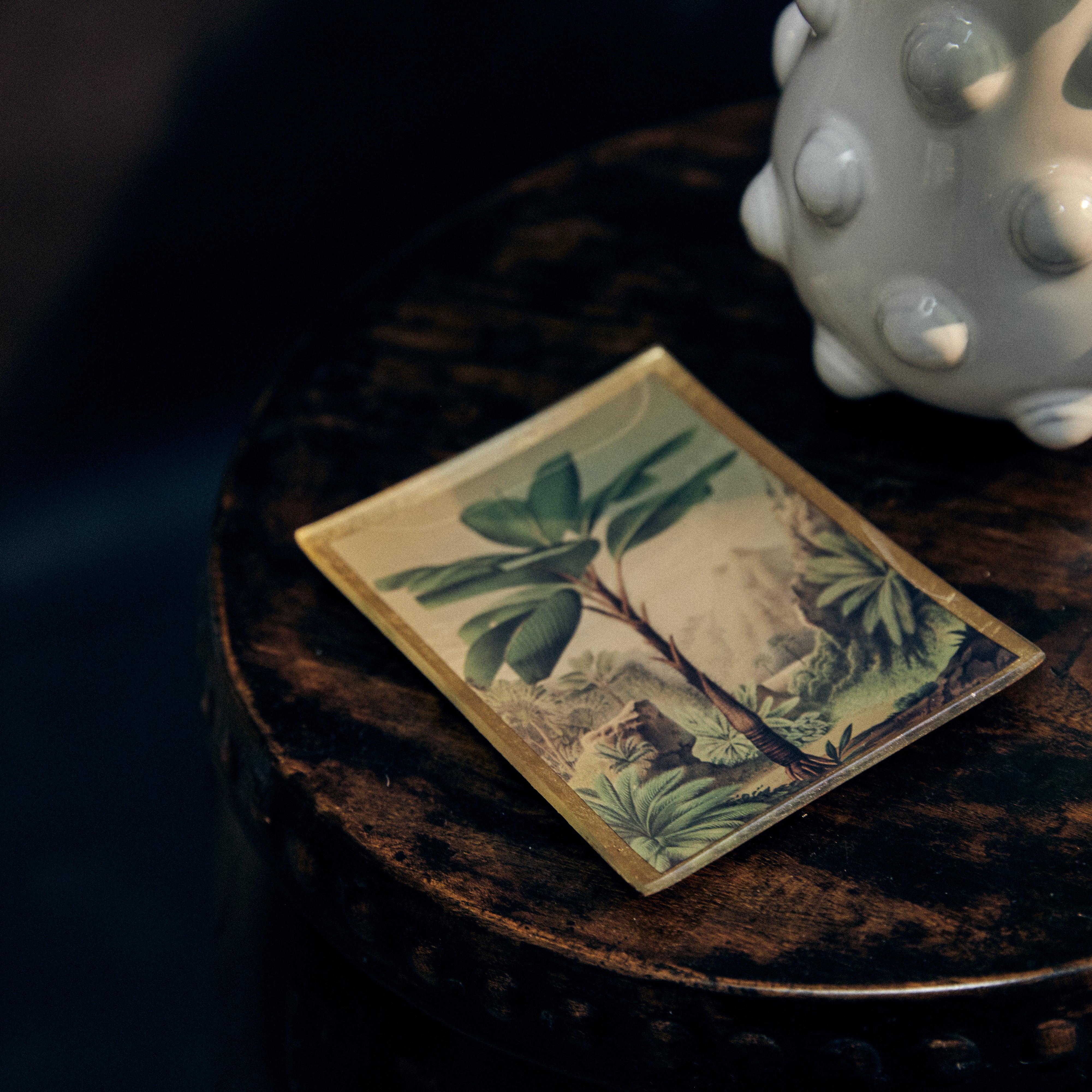 Palm Tray